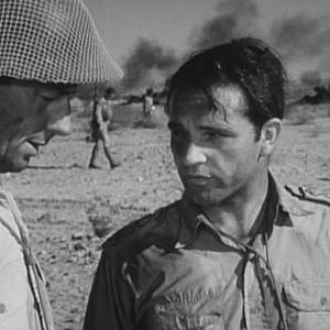 Foto Ratos do Deserto