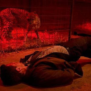 Foto Nikolaj Lie Kaas