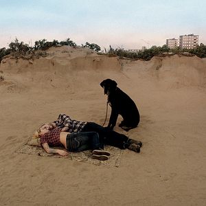 Foto Um Pombo Pousou num Galho Refletindo sobre a Existência