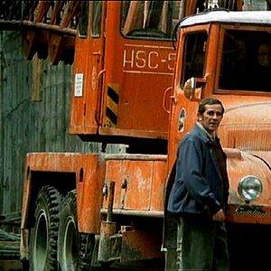 Foto Quem Procura o Fundo Dourado