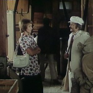 Foto Chácara Perto do Bosque