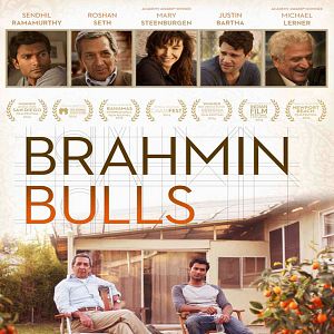 Foto Brahmin Bulls