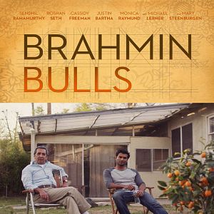Foto Brahmin Bulls