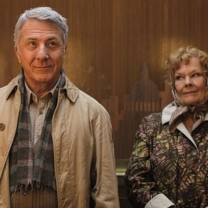 Foto Um Amor de Estimação