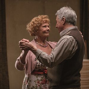 Foto Um Amor de Estimação