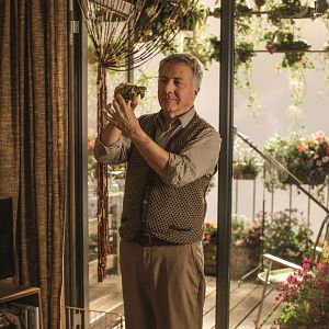 Foto Um Amor de Estimação