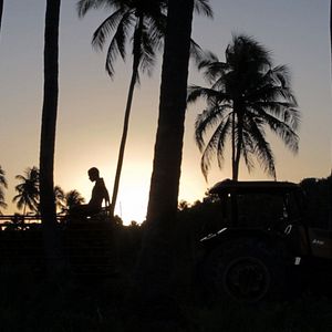 Foto Ventos de Agosto