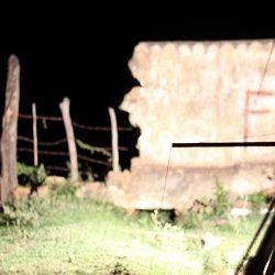 Foto A Doce Flauta de Liberdade