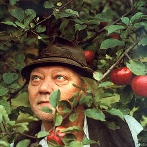 Foto Festa de Campânulas Brancas