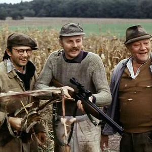 Foto Festa de Campânulas Brancas