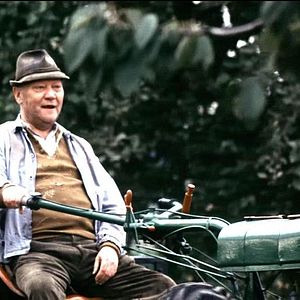 Foto Festa de Campânulas Brancas