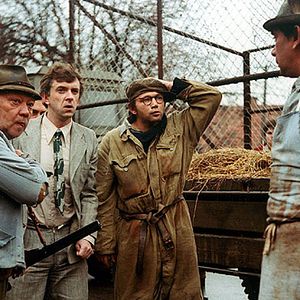 Foto Festa de Campânulas Brancas