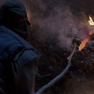 Foto A Bolha Assassina