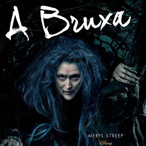 Foto Caminhos Da Floresta