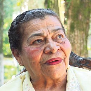 Foto Semear Estrelas