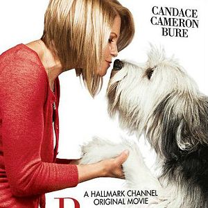 Foto Família Por Acaso