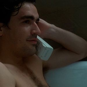 Foto Feito Cães e Gatos