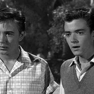 Foto Felpudo, O Cão Feiticeiro