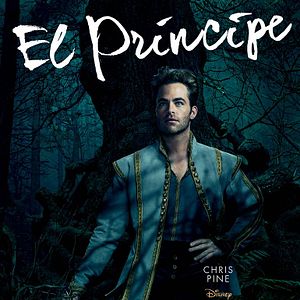 Foto Caminhos Da Floresta