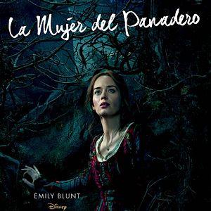 Foto Caminhos Da Floresta