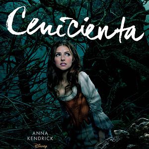 Foto Caminhos Da Floresta