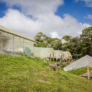 Foto A Small Section of the World