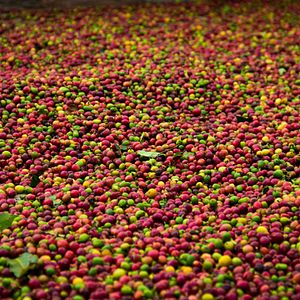 Foto A Small Section of the World