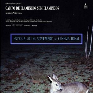 Foto Campo de Flamingos Sem Flamingos