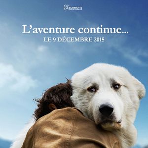 Foto Belle e Sebastian - A Aventura Continua