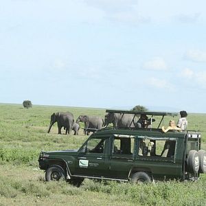 Foto Tanzania: A Journey Within