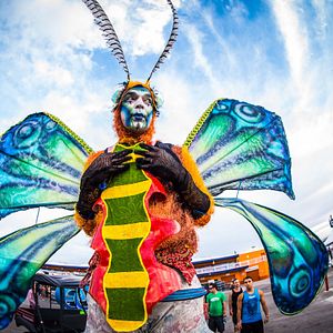 Foto EDC 2013: Under the Electric Sky