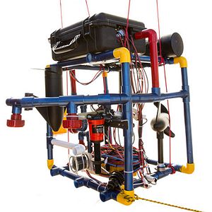 Foto Underwater Dreams