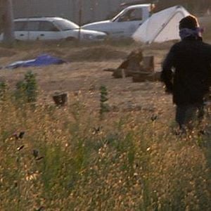 Foto Occupy the Farm