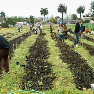 Foto Occupy the Farm