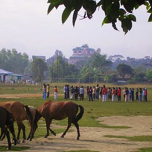 Foto The Only Real Game