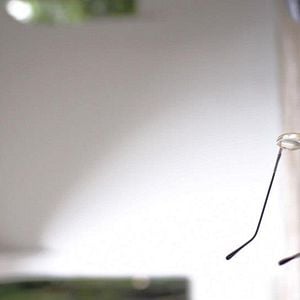 Foto Alguém Qualquer