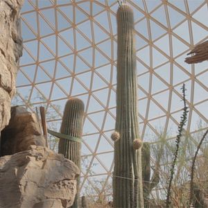 Foto Todas las Cosas que no Están