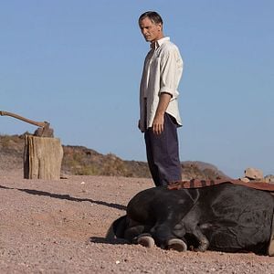 Foto Longe dos Homens