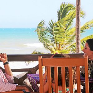 Foto Qualquer Gato Vira-Lata 2