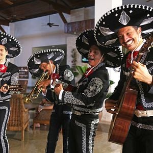 Foto Qualquer Gato Vira-Lata 2