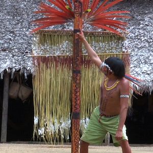Foto Urihi Haromatipë – Curadores da Terra-Floresta