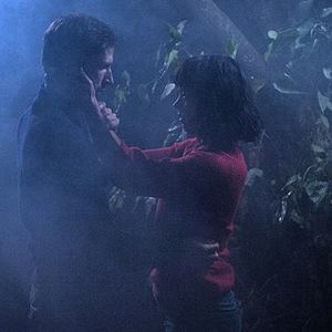 Foto Tudo Sobre Vincent