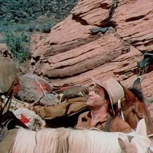 Foto Renegando o meu Sangue