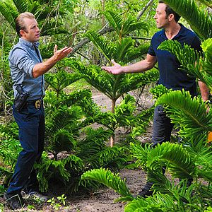 Foto Scott Caan