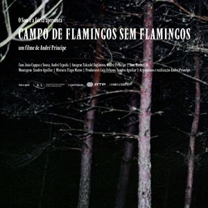 Foto Campo de Flamingos Sem Flamingos
