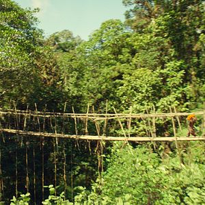 Foto As Aventuras de Paddington