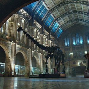 Foto As Aventuras de Paddington