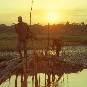Foto Sobre a Violência