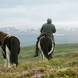 Foto Cavalos e Homens