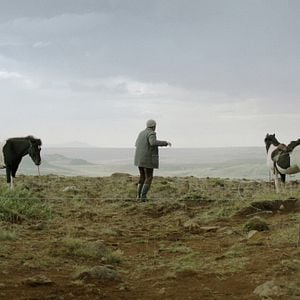 Foto Cavalos e Homens